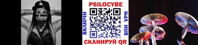 наркотики  Миасс  OMG ССЫЛКА  Галлюциногенные грибы Psilocybine cubensis 
